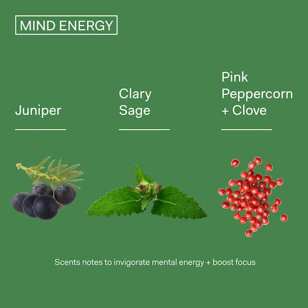 The Nue Co. | Mind Energy Fragrance | A Little Find