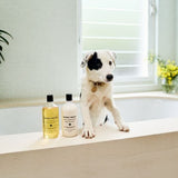Bondi Wash | Dog Conditioner - Paperbark & Lemon grass | A Little Find