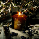 Olive Tree Candle - 226g