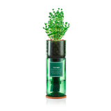 Hydro Herb | Thyme Hydro Herb kit | A Little Find